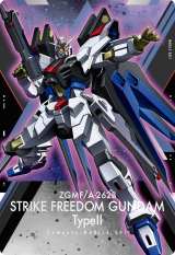 @mK_SEED FREEDOM EGn[X(C)nʁETCY 