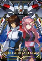 @mK_SEED FREEDOM EGn[X(C)nʁETCY 