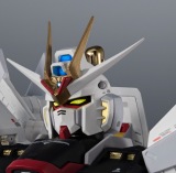 }CeB[XgCNt[_K_(C)nʁETCY 