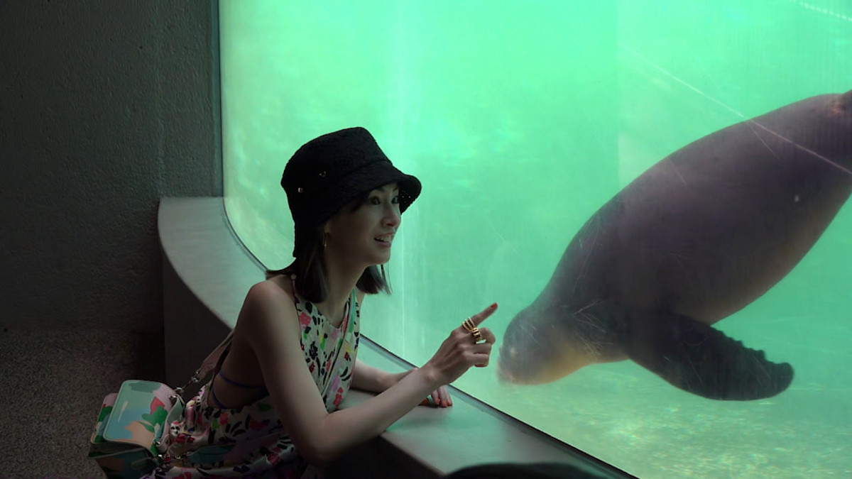 北川 景子 写実水彩画 北川 景子 写実水彩画 Amazon.co.jp: セーラーマーズ 北川景子