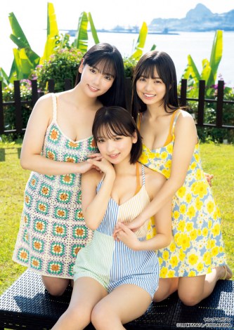 �w�����O�}�K�W���x12���̕\��������i������j�g�䂵����A��m���ڍ؁A�������T 