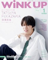 WiNK UP (EBNAbv) 2024N1 