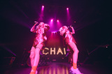 CHAIXgCuƂȂwCHAI JAPAN TOUR 2024uWe The CHAI Tour!vxŏI 