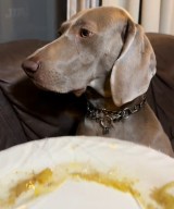 �l�Ԗ����ӂ��c��炩�����B�������������R�����A���ɂ��떂����������������c? 