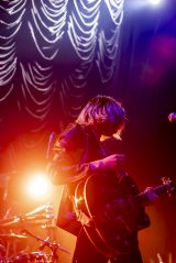 wKINZOKU Bat Night at Ll}yx̖͗l(Photo by Viola Kam) 