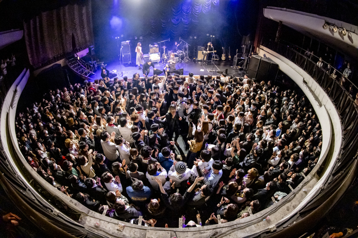 wKINZOKU Bat Night at Ll}yx̖͗l(Photo by Viola Kam) 