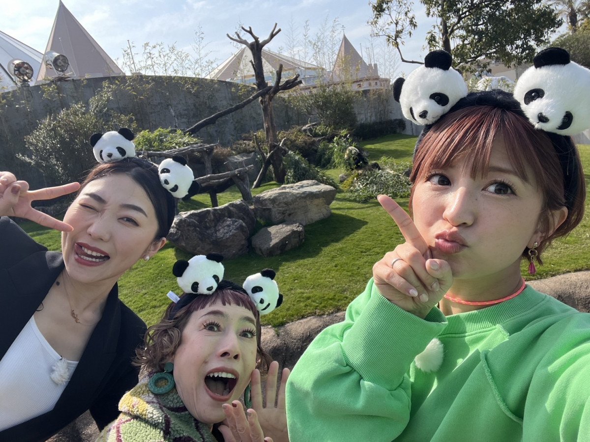 23wY݂`֐Ԃ藷`xɏo()CRAZY COCOAv{A^(C)er 