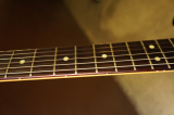 Fender Limited Stratocaster HSS Rosewood Fingerboard Black Paisley(Neck) 