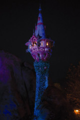 画像・写真 | 無数のランタンが圧巻！ラプンツェルの“歌声”響く