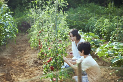 �f��w���������Ɓx�i6��7�����J�j�iC�j2024�u���������Ɓv����ψ��� 