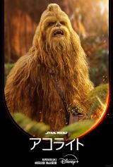 �L�����N�^�[�|�X�^�[�i�P���i�b�J�j���w�X�^�[�E�E�H�[�Y�F�A�R���C�g�x6��5�����f�B�Y�j�[�v���X�ɂď���2�b���ē����Ɛ�z�M�J�n�iC�j2024 Lucasfilm Ltd. 