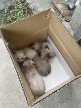 ��ǔL���~�n���Ŏq�ǂ����Y��ł���c���Ȃ��Ȃ�ǂ�����?���u���ꂽ�q�L�Ɂu�����Ȃ񂾂Ǝv���Ă���̂��v 