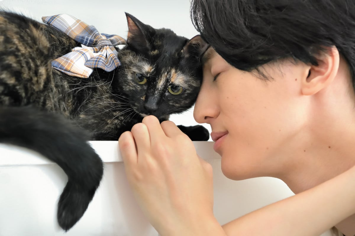 画像・写真 | Travis Japan・川島如恵留、猫愛が伝わるショットを披露 しらす＆ひじきと一緒にインタビューにも回答 1枚目 | ORICON  NEWS