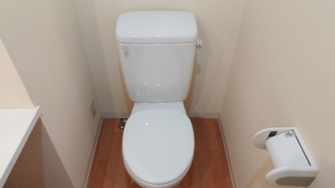 �g�C�������̈˗��̌�Ŏ󂯂��g�g���f���v���h�Ƃ́c�i�C���[�W�j 