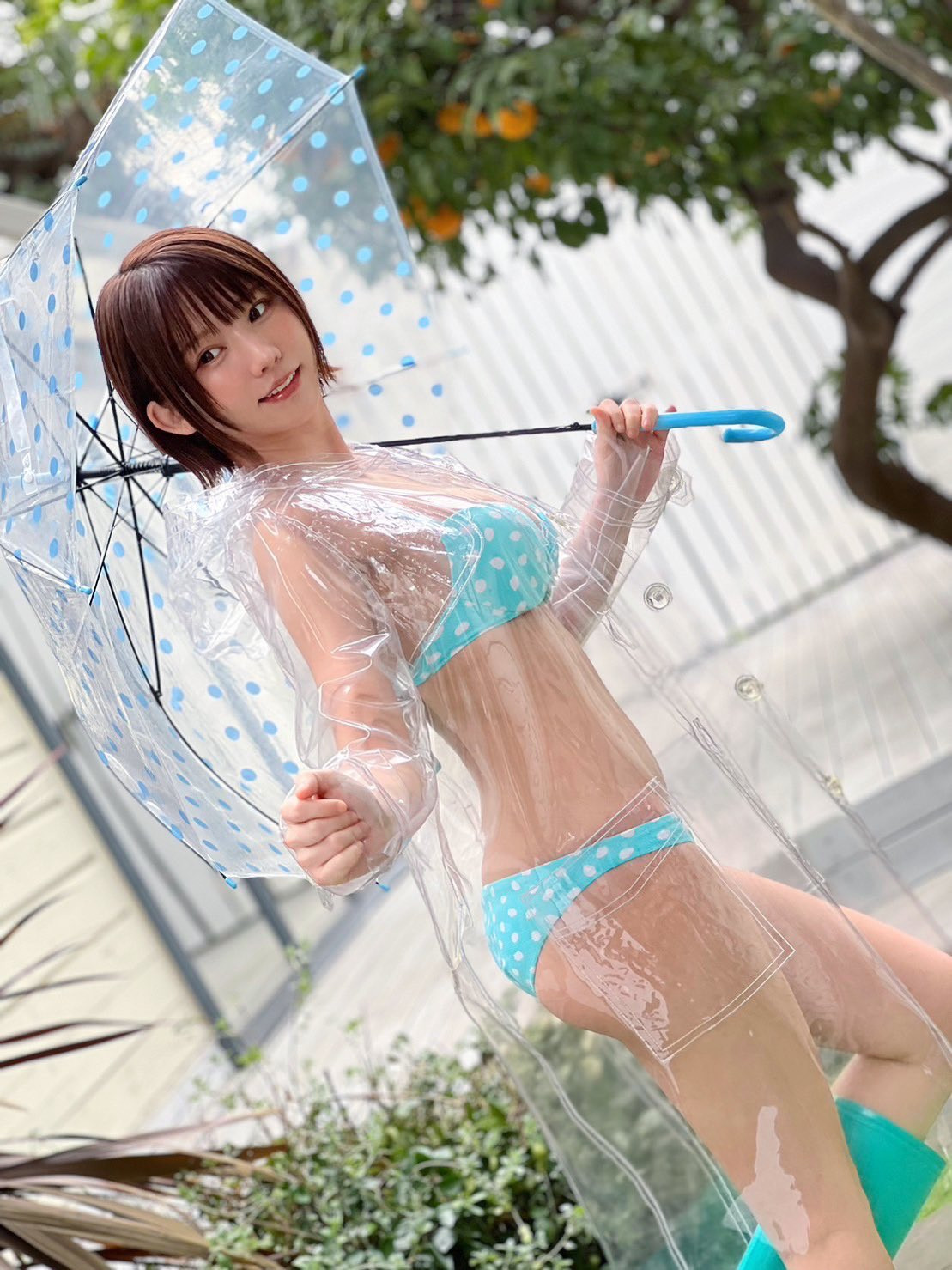 中越典子　アイコラ画像 