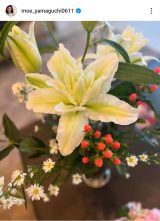 �R�������u���Ԃ��I��ŏ����Ă���āv�i�ʐ^�̓C���X�^�O���� ��moe_yamaguchi0611 ���j 