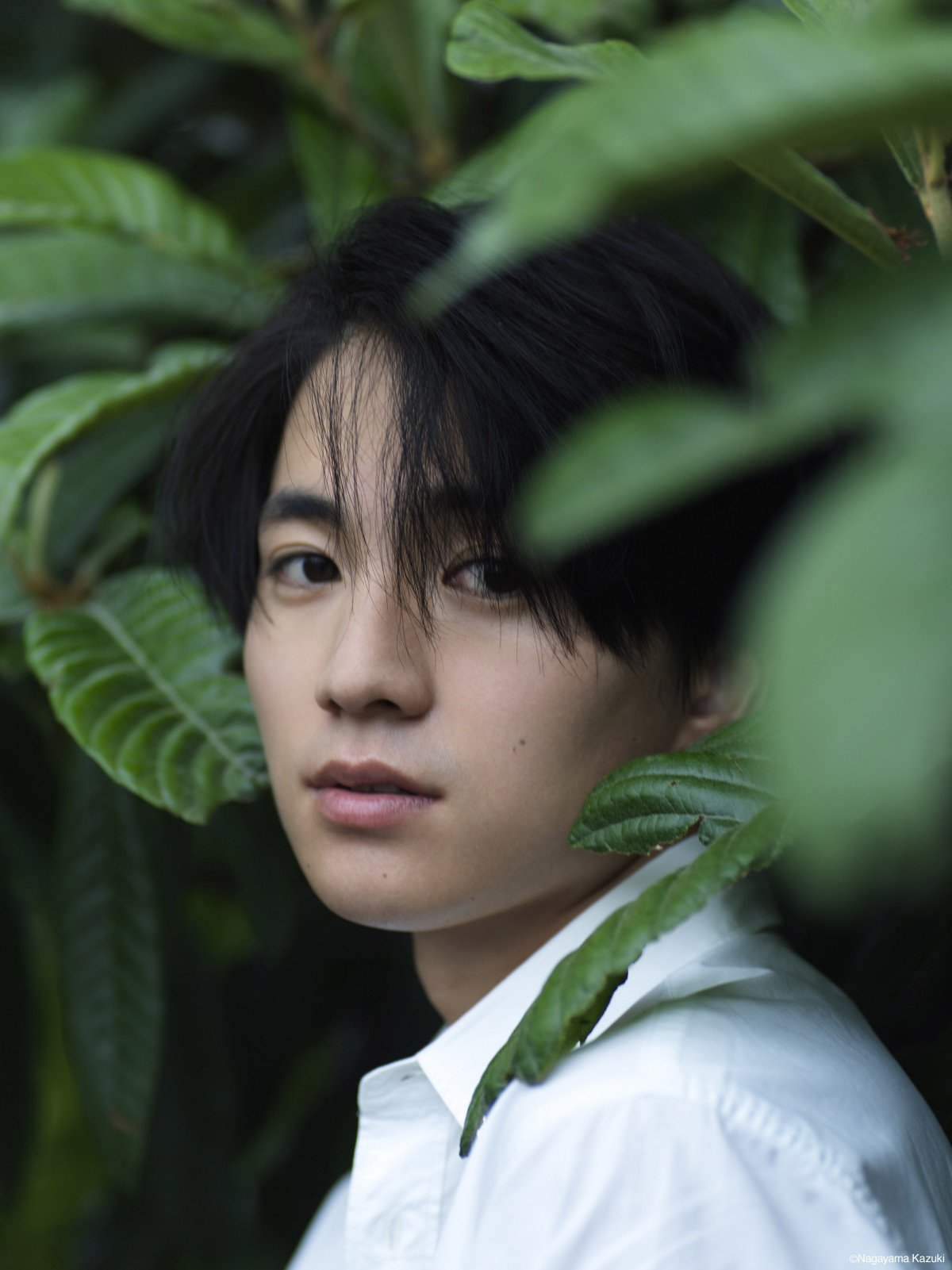 木戸大聖 サイン入りチェキ