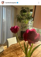 ���݂����[�u��炵�𐮂��鎖�́A�S�𐮂���v�i�ʐ^�̓C���X�^�O���� ��kumikofunayama ���j 