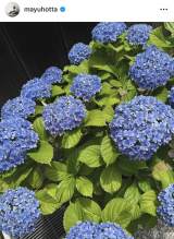 �x�c�^�R�́u�͂�߂̉ċx�݁v�i�ʐ^�̓C���X�^�O���� @mayuhotta ���j 