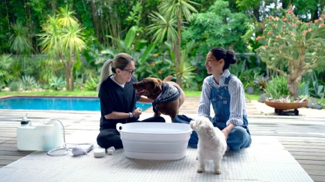 BS���e���w�X��̂悤�����I�킽���̕ʑ��ց`�X�e�L�ɕ�炷4�̃q���g�`�x���iC�j�X��̂悤�����I�킽���̕ʑ��� 