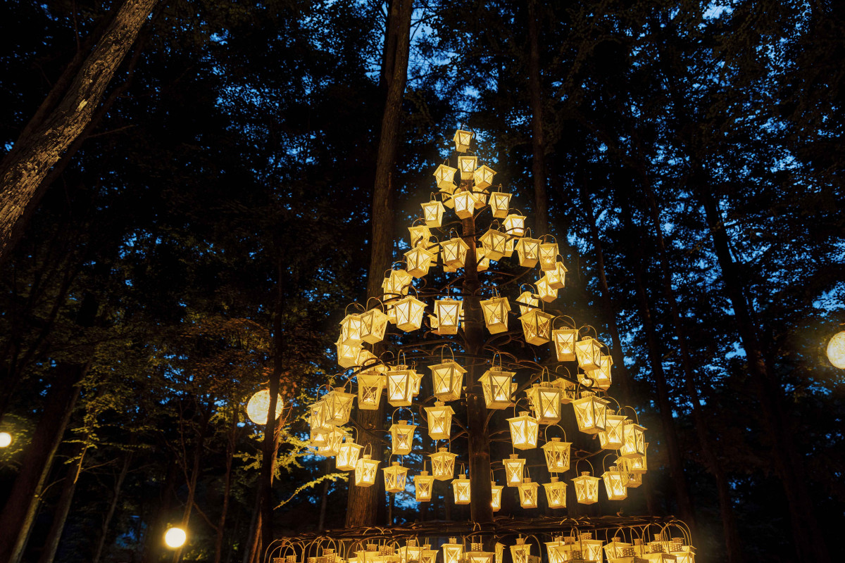 c*o様 絵画原画　　（DREAM light ） キャンドルとツリーの灯りに想 c*o様 絵画原画 （DREAM light ） キャンドルとツリーの灯りに想