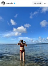 ���X�^�C���P���r�L�j�p���I�������[�K��䝈����i�ʐ^�̓C���X�^�O���� ��malaciel ���j 