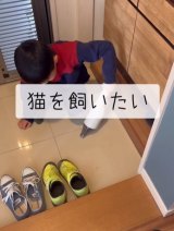 �u�L�����������v��3�j���̃K�`�{�C�Ƃ�? ����g�|�C���h�ŗ��e������A���悪�b��� 