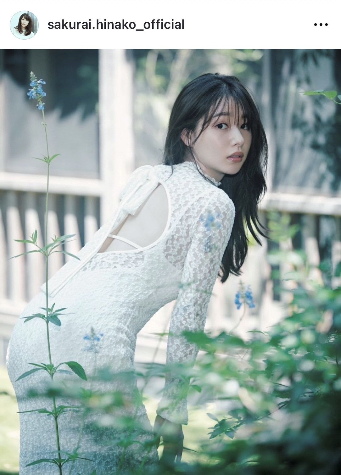 画像・写真 | 桜井日奈子、美ボディラインあらわな“透けワンピ”姿