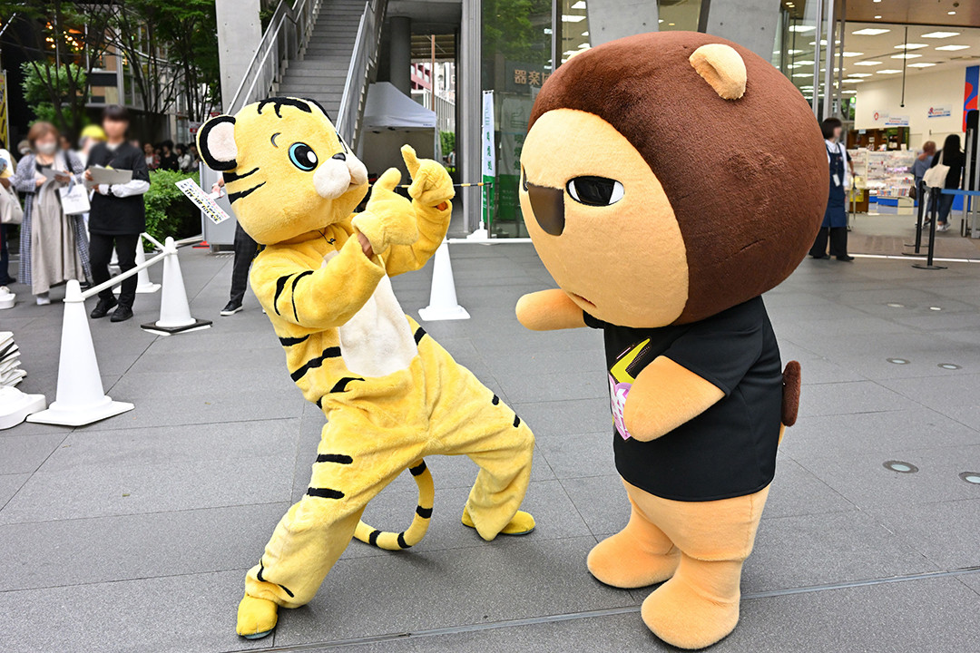 Aぇ! group＆よゐこ、ちゃやまち推しフェスティバルに潜入 正体隠して