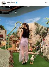 �u��T�̃e���r�ߑ������v���Љ��{�c�������i�ʐ^�̓C���X�^�O���� @akarisuda ���j 