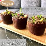 �N�b�L�[�Łg�y�h�Ɓg�v�����^�[�h���Č��A�u�H�ׂ��A�ؔ��v�ɔ����u�����ďĂ������ŊȒP�ȃ��V�s�v 