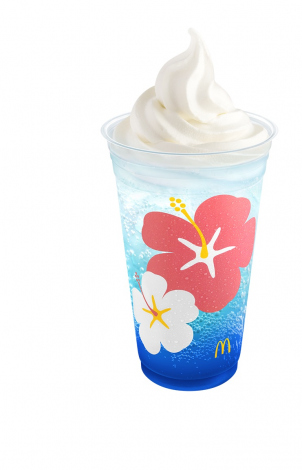 �}�N�h�i���h�u�߂�����n���C���o�[�K�[�Y�v���u�}�b�N�t���[�g �u���[�n���C2024�v 