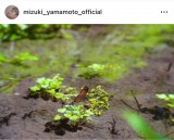 �R�{�����u�c���̉Ƃɍs���Ă���܂����I�v�i�ʐ^�̓C���X�^�O���� ��mizuki_yamamoto_official ���j 