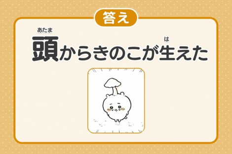 �w��������x���������N�C�Y�J�� �iC�jnagano 