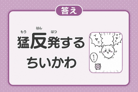 �w��������x���������N�C�Y�J�� �iC�jnagano 