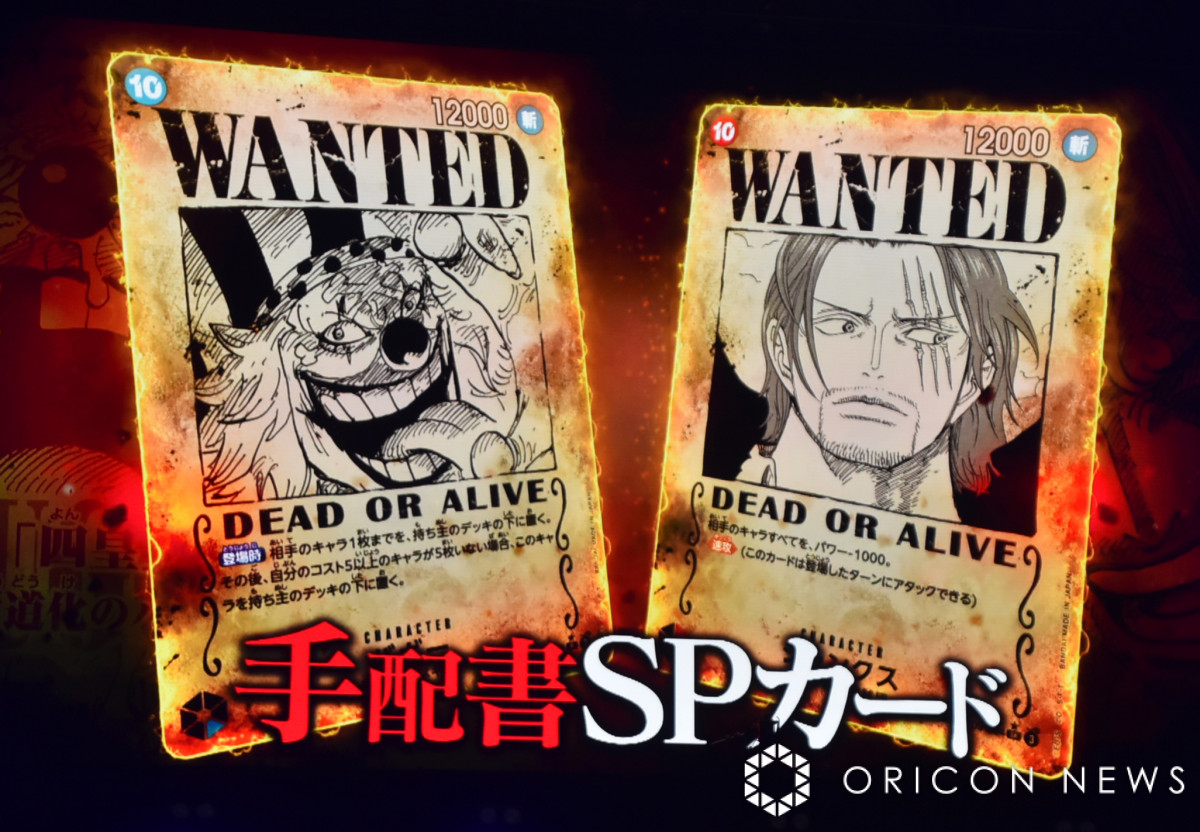映画ONE PIECE DVD 山口勝平さんサイン入り アニメ