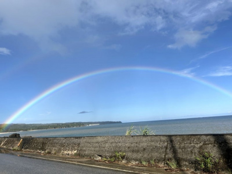 ���߂��݃I�t�B�V�����u���O 