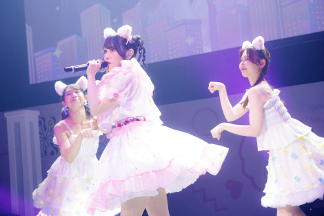 �w���q�B Birthday Event 2024 �g�B���Ձh �`Cute or Cool�H�x���J�ʐ^ 