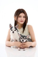 ���A�C�h���g��Â��P�h���ƐV�����؍`��c�A�����𔭕\�u���Ƃ̍ŏ��P�ʂł���ƒ�����������Œz��������X�^�[�g��؂ꂽ�v 