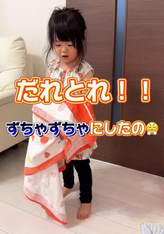 �u����Ƃ�i�N����j�I�I�@�����Ⴘ����i�����Ⴎ����j�ɂ����́v�Ƃ������B�i�摜��@rea.rei_cats�j 