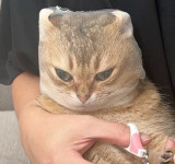 �ۂĂ��䂱�߁B����ƕ�炷���������i@potechi_nikki�j 