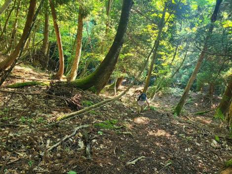 �㉹��f�����Ɂu�ԒJ�R�v�ɒ��킷��6�΂̎����� 