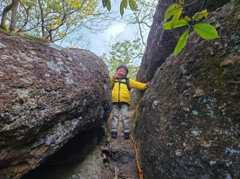 ���_�R�i���Ɍ��j�ɒ��킷������� 