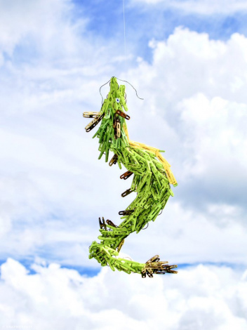 �u�h���S���v����o�T�~�t�H�g�O���t�@�[�E���{�Ȃ������i�i@okaphotoart�j��� 