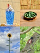 ����o�T�~�t�H�g�O���t�@�[�E���{�Ȃ������i�i@okaphotoart�j��� 