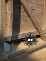 �f��w�ƂȂ�̃g�g���x�ɓo�ꂷ��܂����낭�낷������o�T�~�t�H�g�O���t�@�[�E���{�Ȃ������i�i@okaphotoart�j��� 