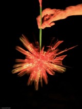 �u�����ԉ΁v����o�T�~�t�H�g�O���t�@�[�E���{�Ȃ������i�i@okaphotoart�j��� 