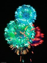 �u�ԉ΁v����o�T�~�t�H�g�O���t�@�[�E���{�Ȃ������i�i@okaphotoart�j��� 