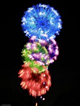 �u�ԉ΁v����o�T�~�t�H�g�O���t�@�[�E���{�Ȃ������i�i@okaphotoart�j��� 