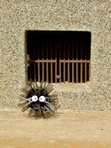 �f��w�ƂȂ�̃g�g���x�ɓo�ꂷ��܂����낭�낷������o�T�~�t�H�g�O���t�@�[�E���{�Ȃ������i�i@okaphotoart�j��� 